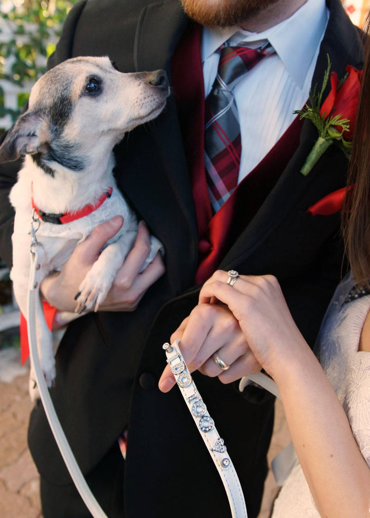 Wedding Dog Leash | White, Ivory, Pink, Brown, or Silver