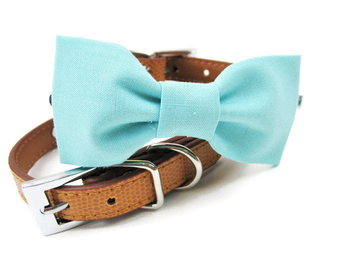 Bowtie Collar | Beachy