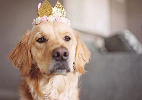 Birthday Party Package | Royal Gold and Black