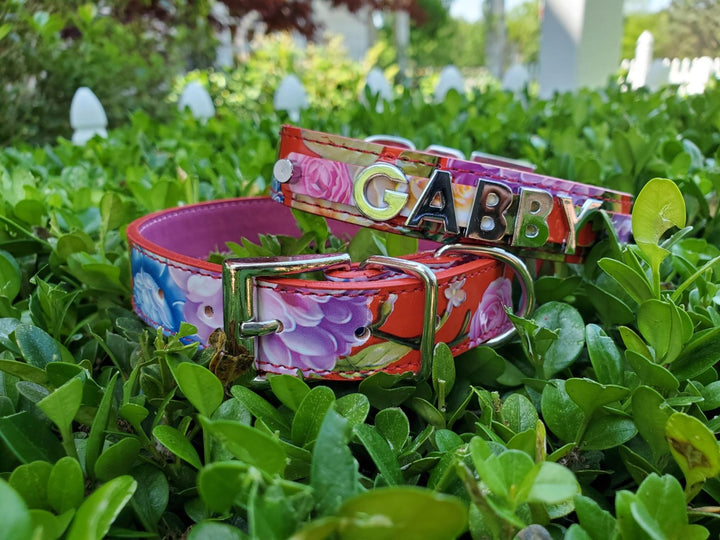 Sweet Retro Floral Personalized collar