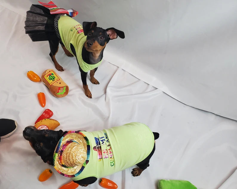 Birthday Party Package | Feliz Cumpleanos