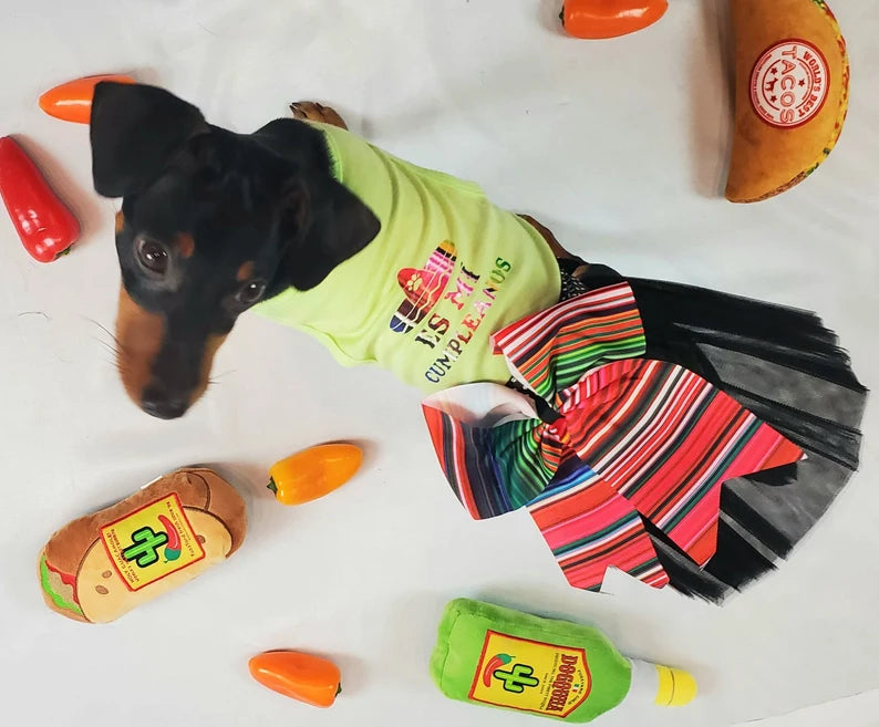 Birthday Party Package | Feliz Cumpleanos